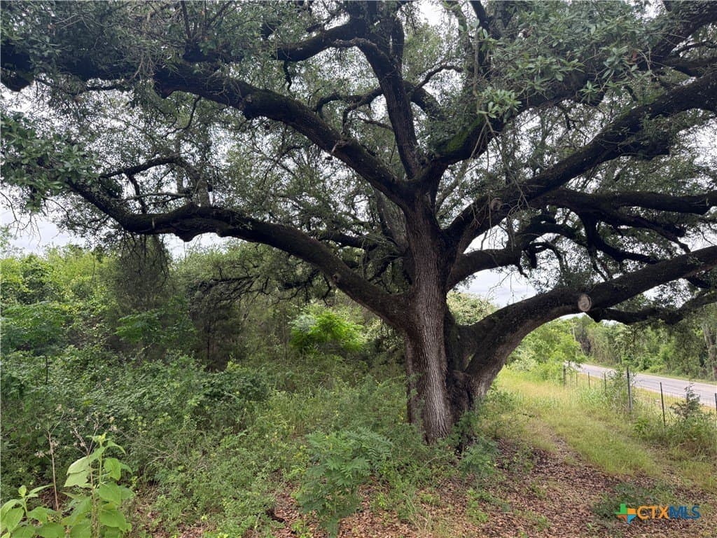30 acres in Bell County - photo 41