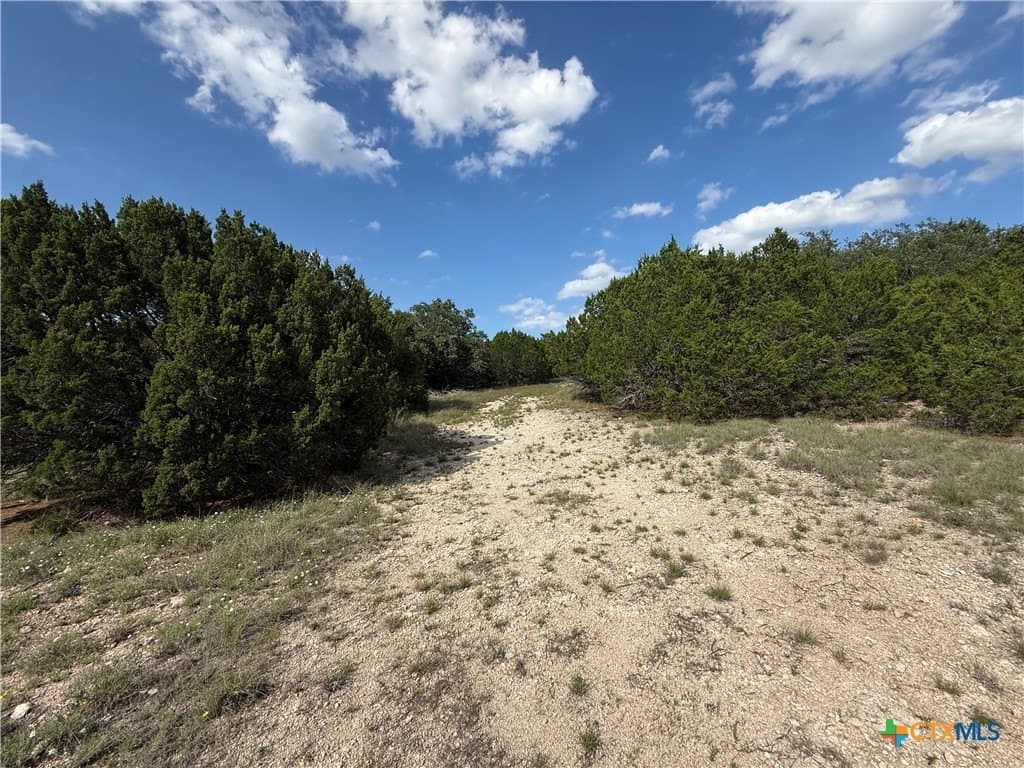 30 acres in Bell County - photo 31