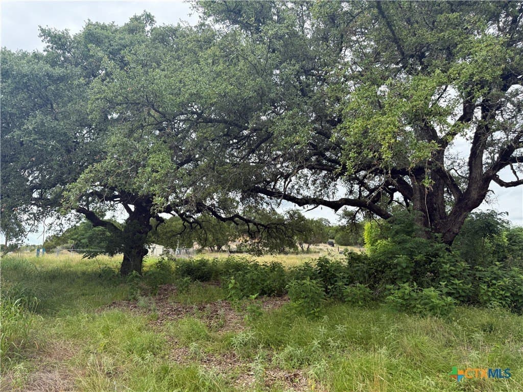 30 acres in Bell County gallery image 3