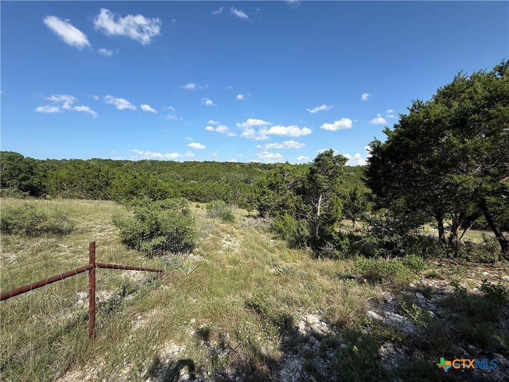 30 acres in Bell County - photo 6