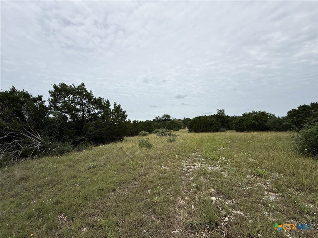 30 acres in Bell County - photo 29