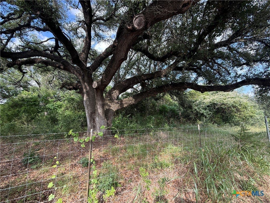30 acres in Bell County - photo 40