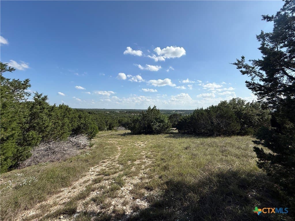 30 acres in Bell County - photo 28
