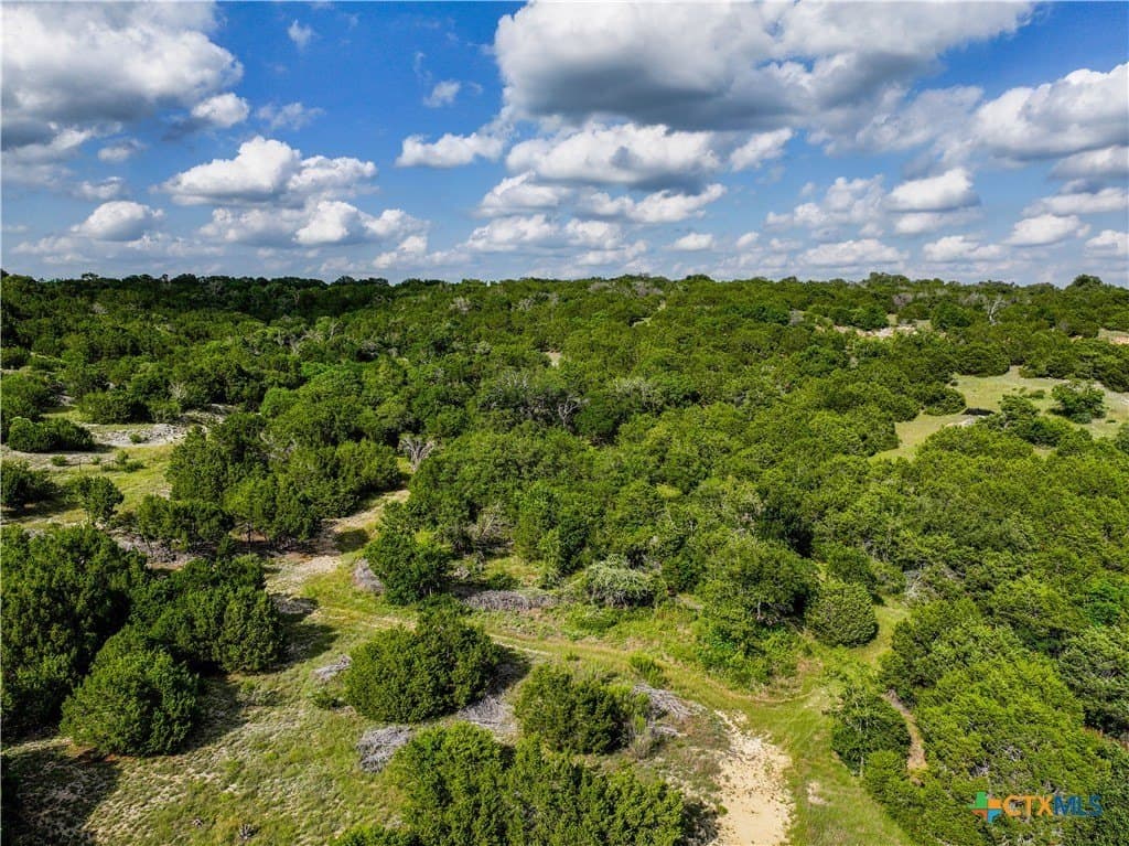 30 acres in Bell County - photo 12