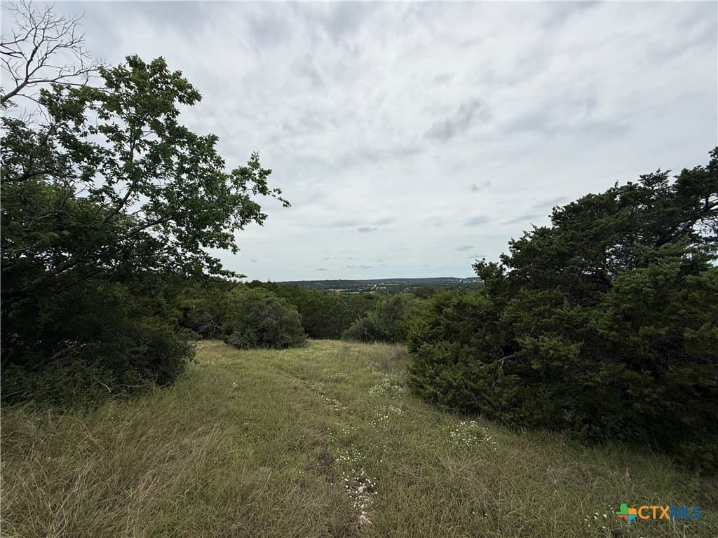30 acres in Bell County - photo 19
