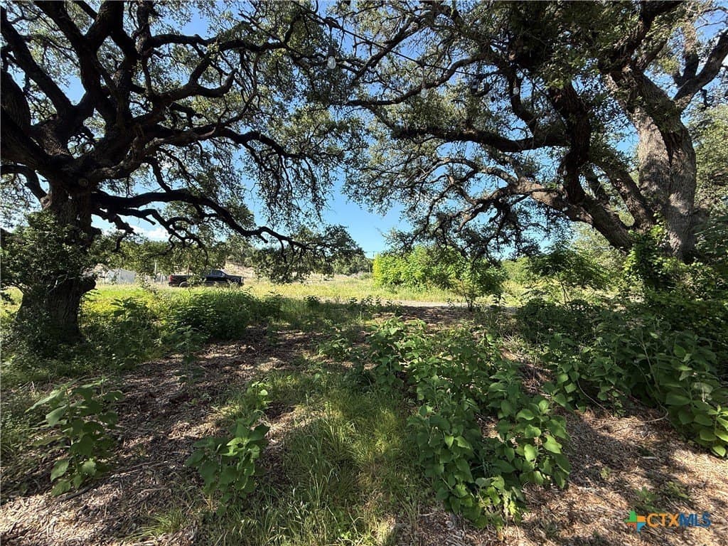 30 acres in Bell County - photo 42