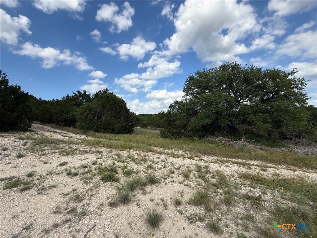 30 acres in Bell County gallery image 4