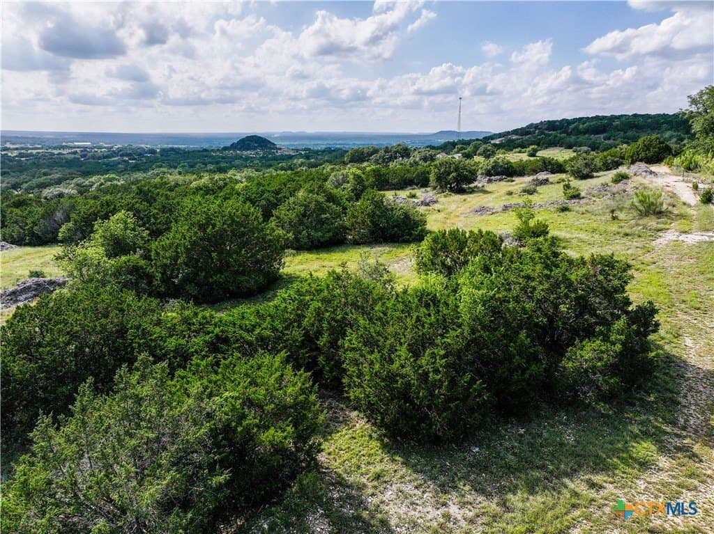 30 acres in Bell County - photo 13