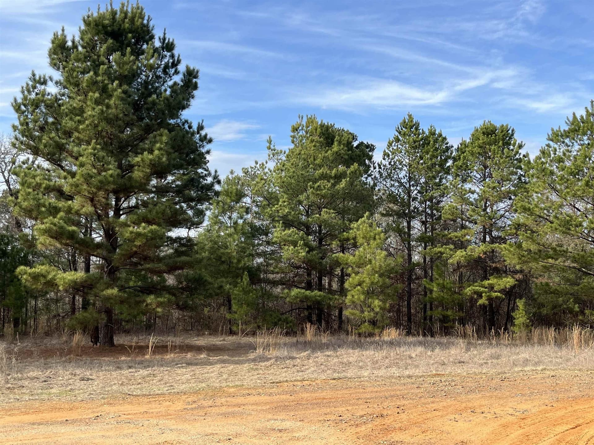 16.02 acres in Gregg County featured view