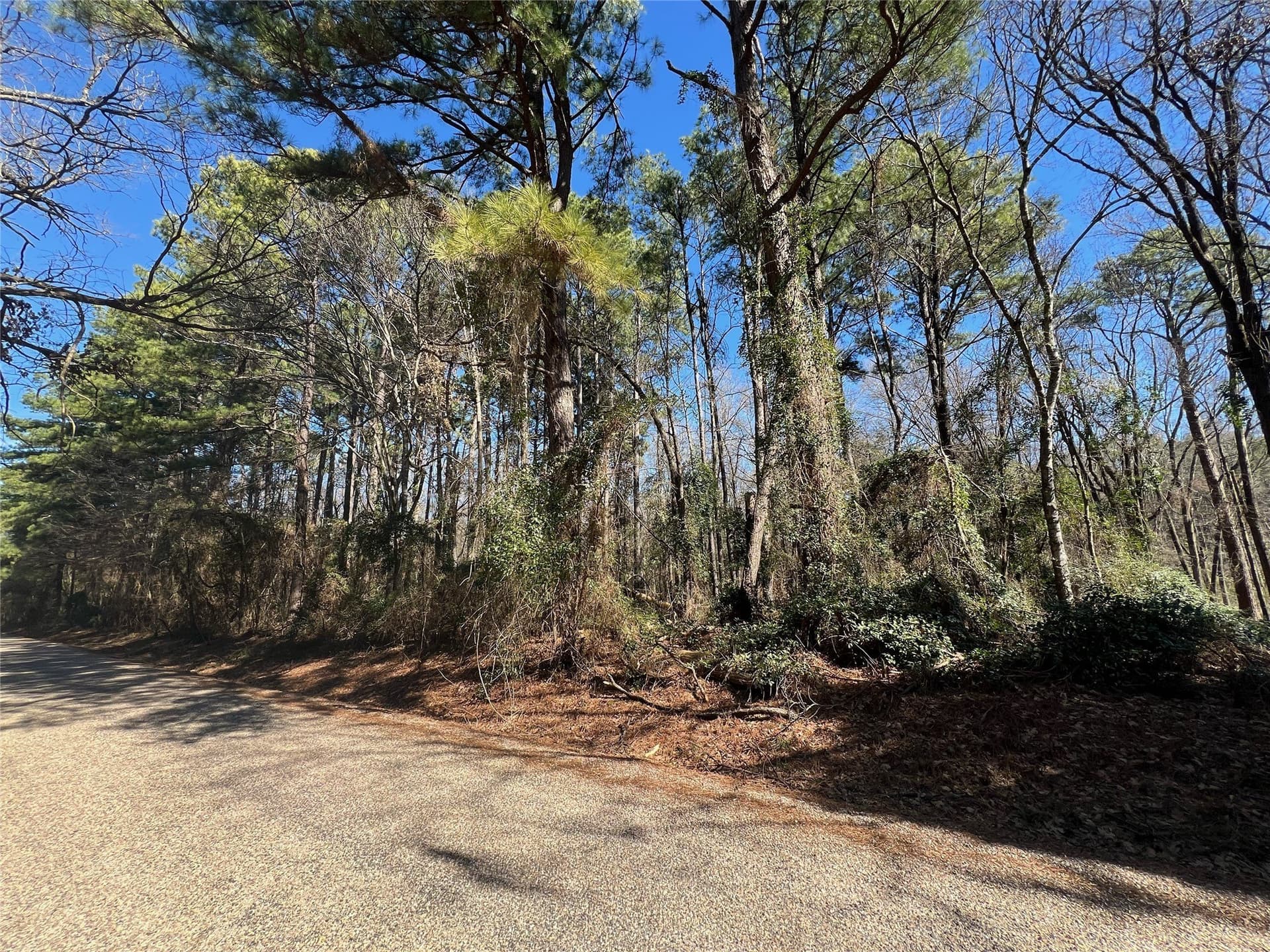 20 acres in Camp County gallery image 2