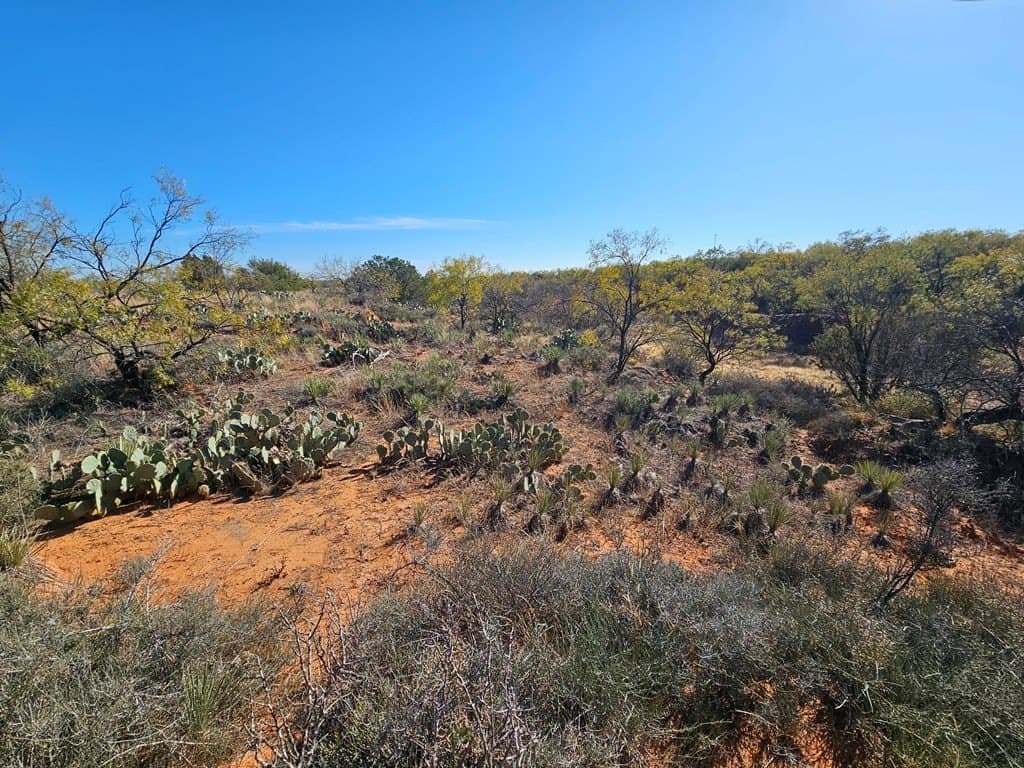 25 acres in Nolan County - photo 15