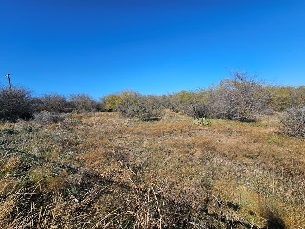 25 acres in Nolan County - photo 9