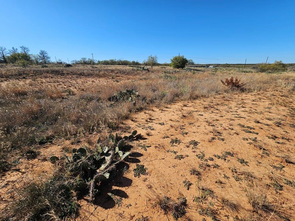25 acres in Nolan County - photo 13