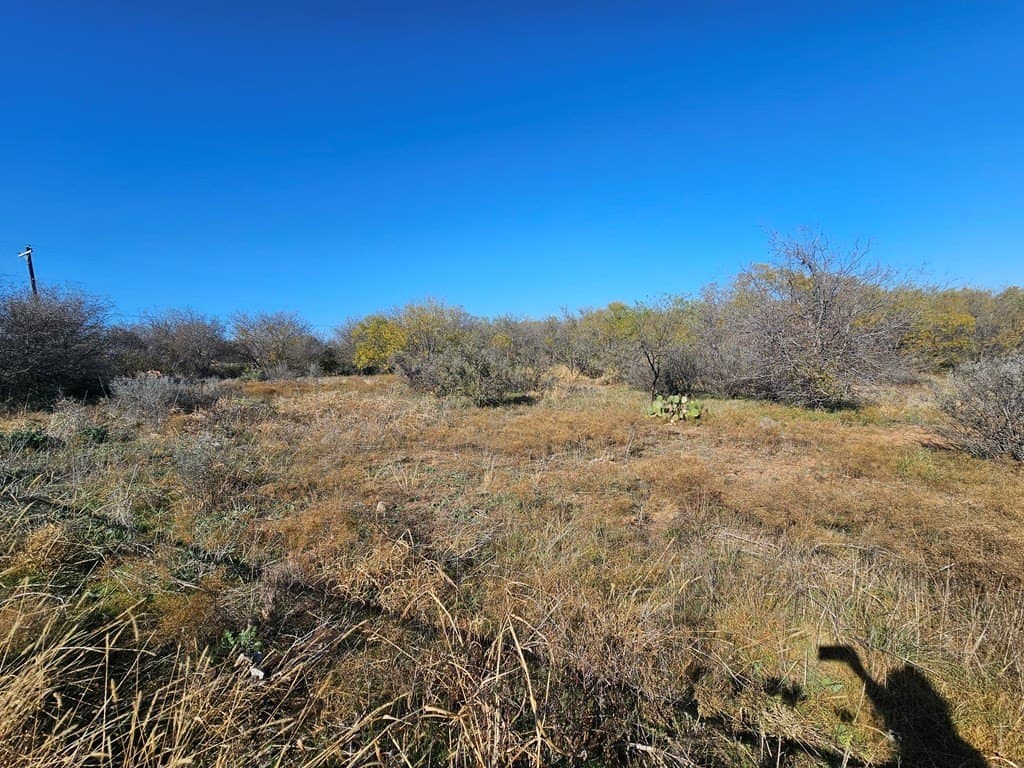 25 acres in Nolan County - photo 10