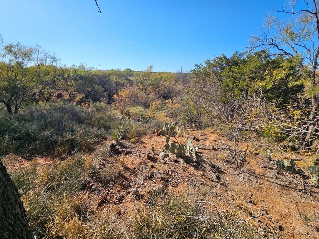 25 acres in Nolan County - photo 16