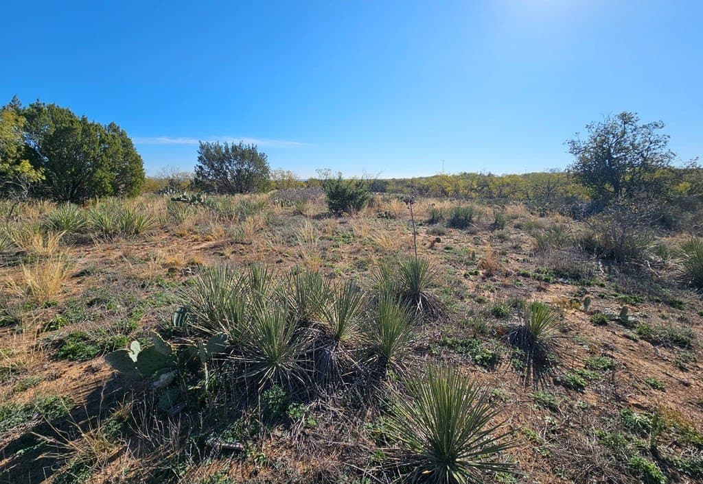 25 acres in Nolan County - photo 14