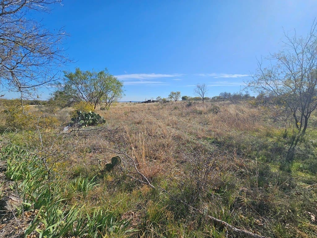 25 acres in Nolan County - photo 8