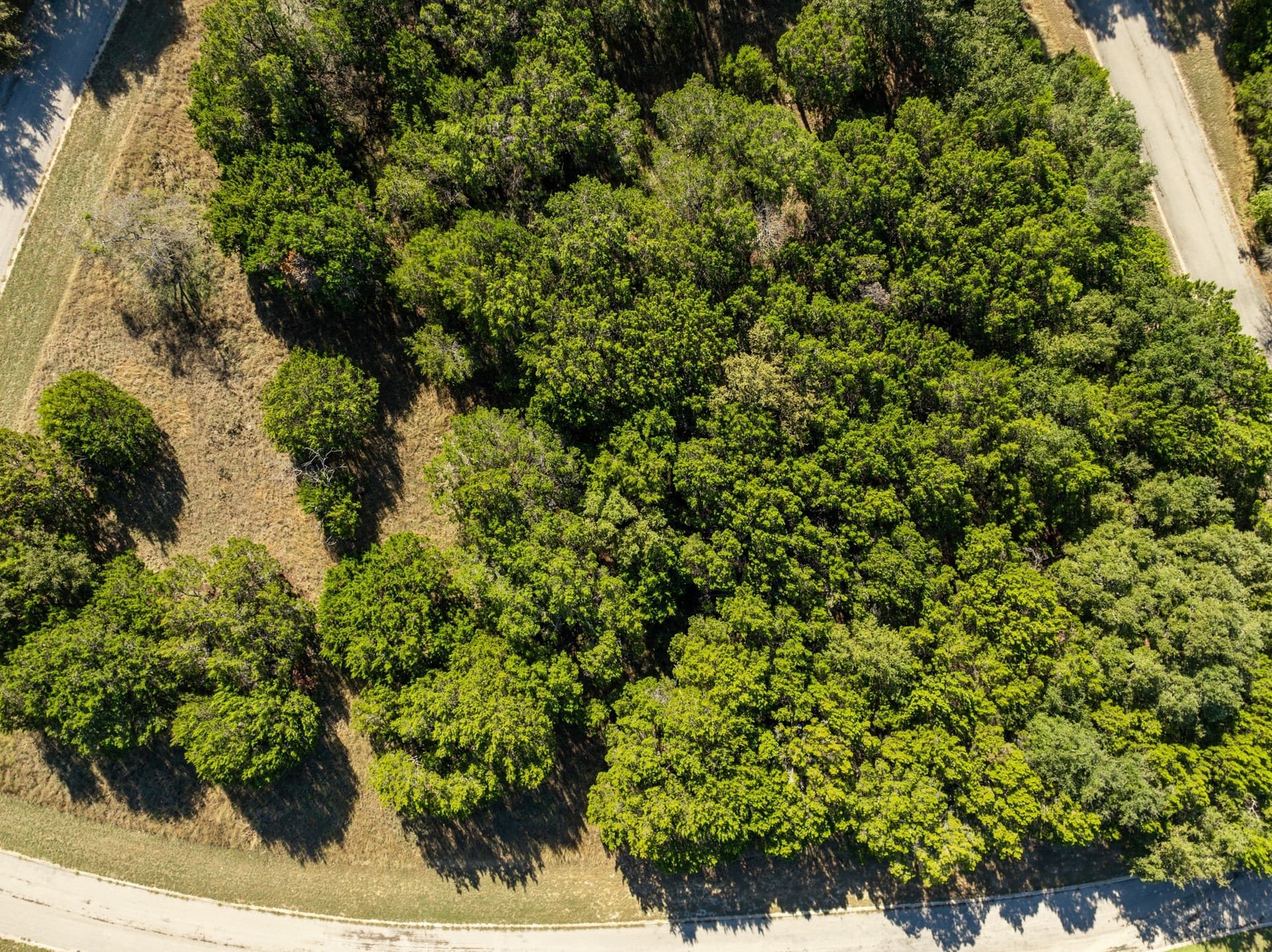 0.21 acres in Hill County - photo 3