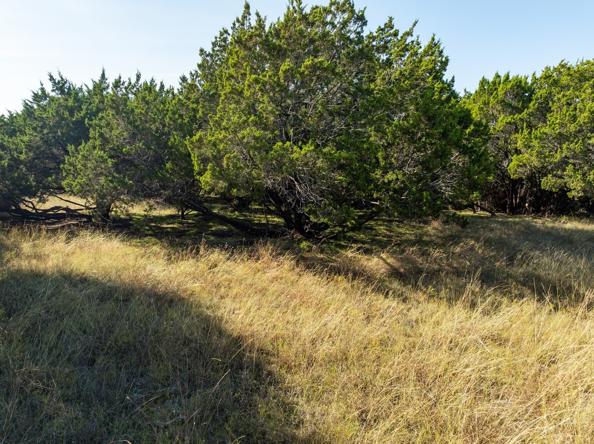 0.21 acres in Hill County - photo 7