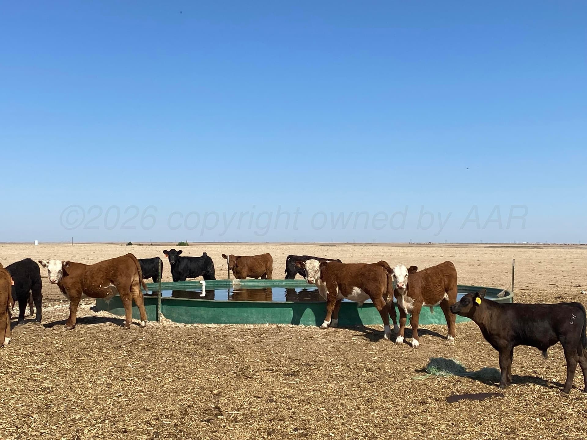 941.93 acres in Texas County - photo 45