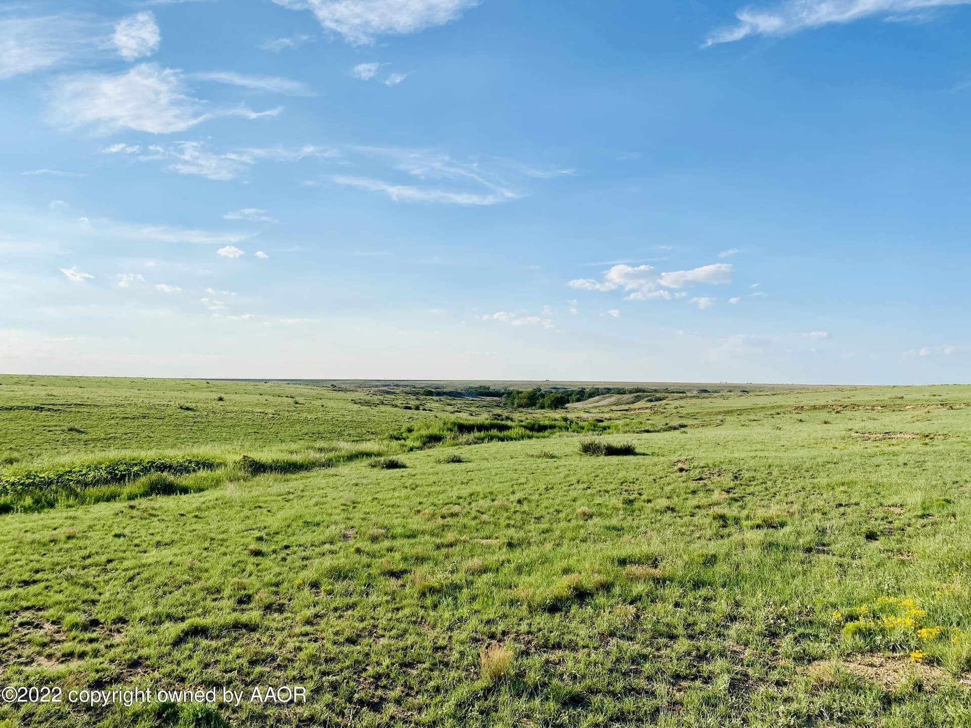941.93 acres in Texas County - photo 4