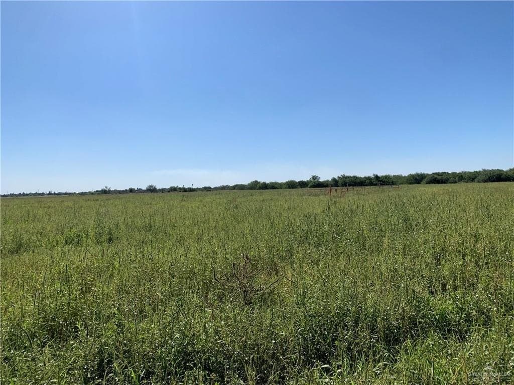 46.51 acres in Hidalgo County - photo 2