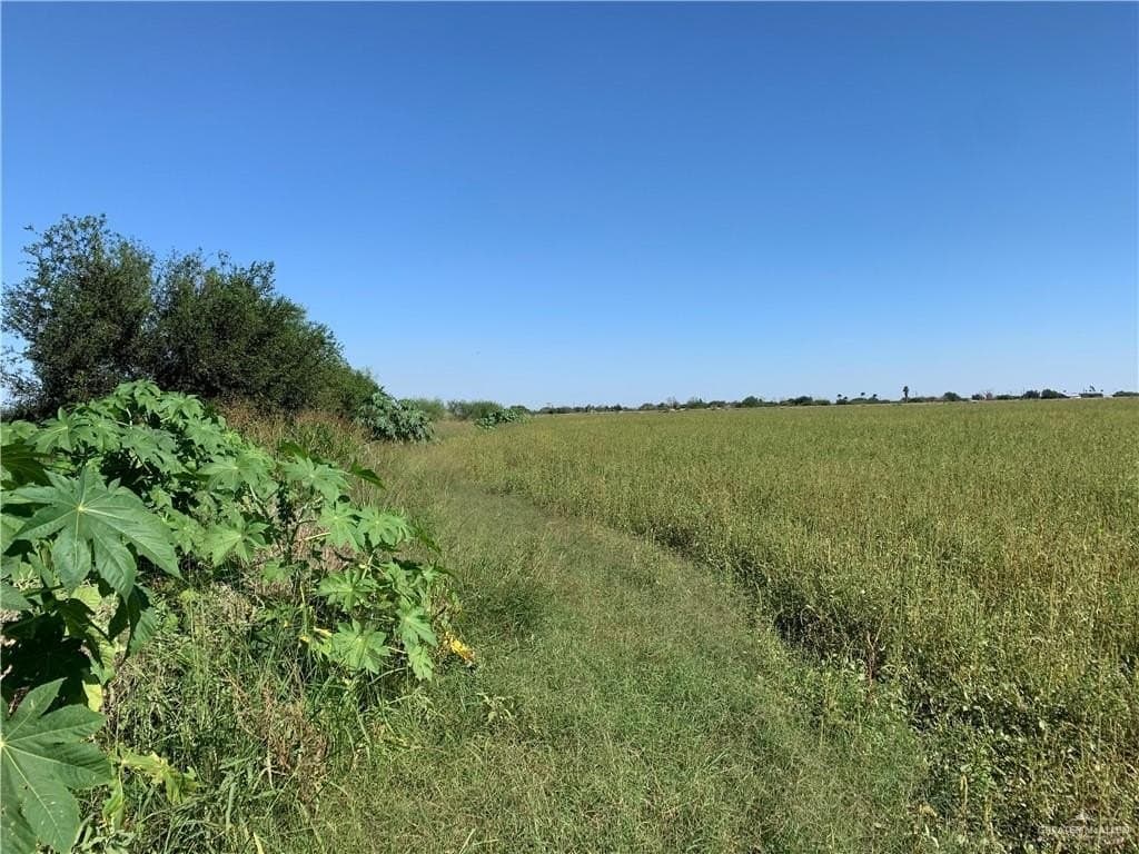 46.51 acres in Hidalgo County - photo 3