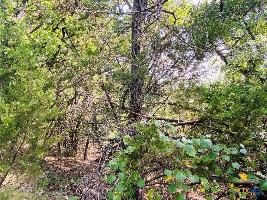 1.04 acres in Coryell County - photo 12