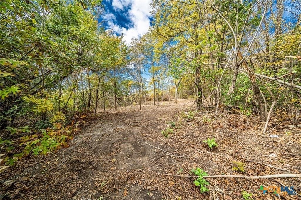 1.04 acres in Coryell County - photo 4