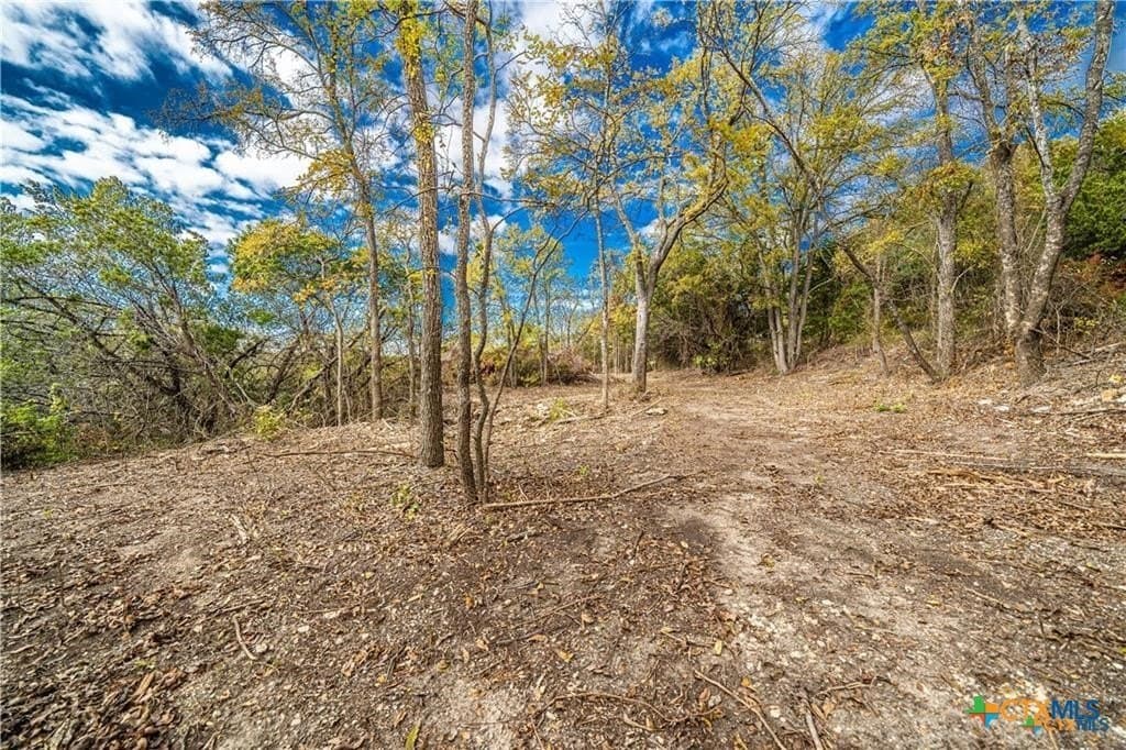 1.04 acres in Coryell County - photo 7