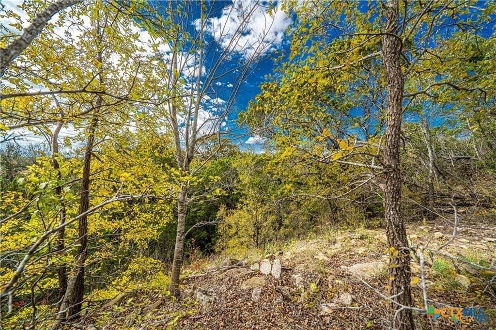 1.04 acres in Coryell County - photo 10