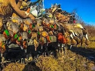 136 acres in Bell County featured view