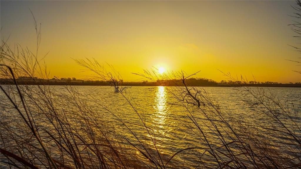 136 acres in Bell County gallery image 2