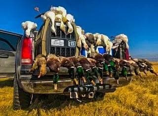 136 acres in Bell County gallery image 4