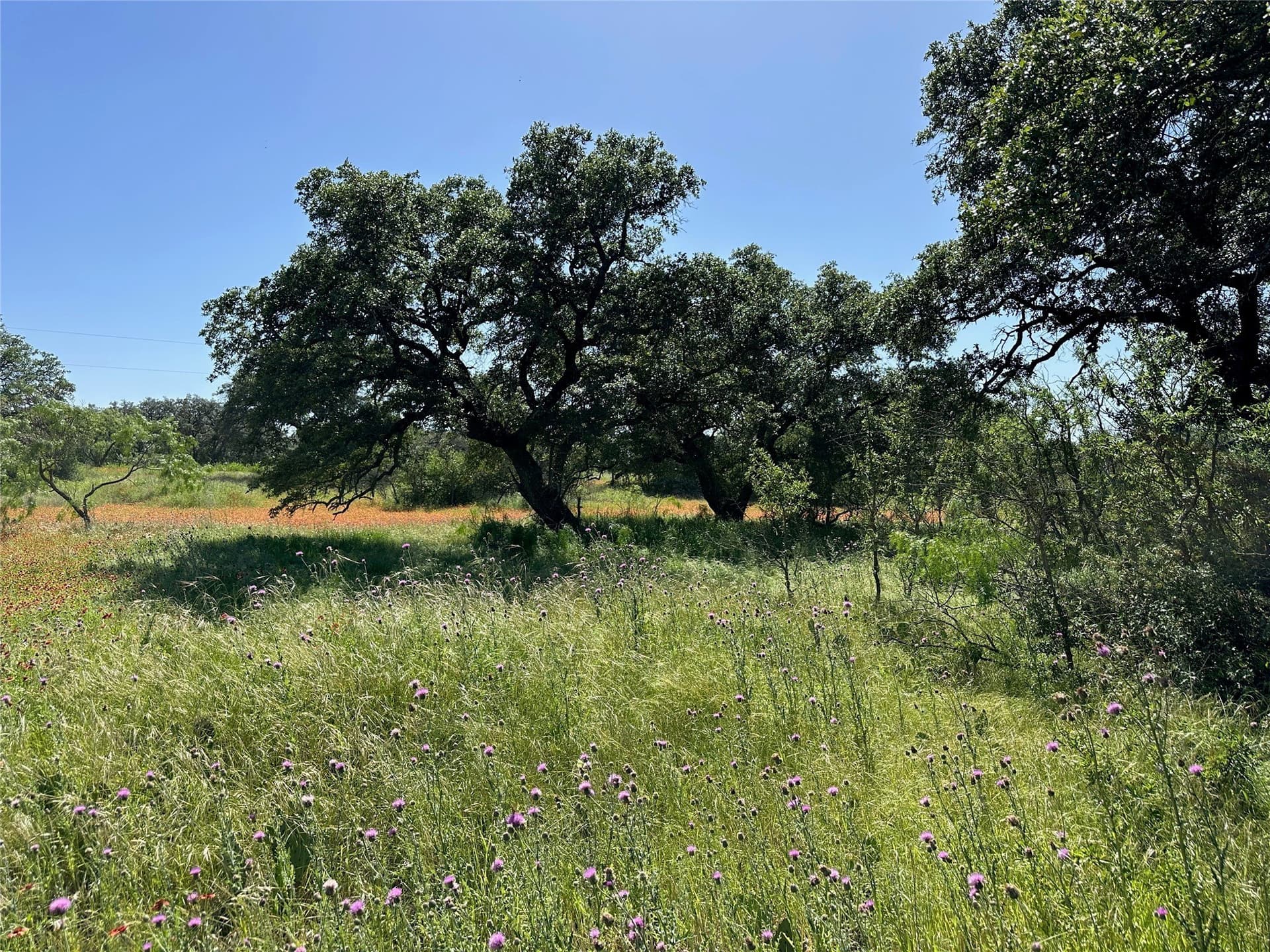 0.43 acres in Brown County - photo 8