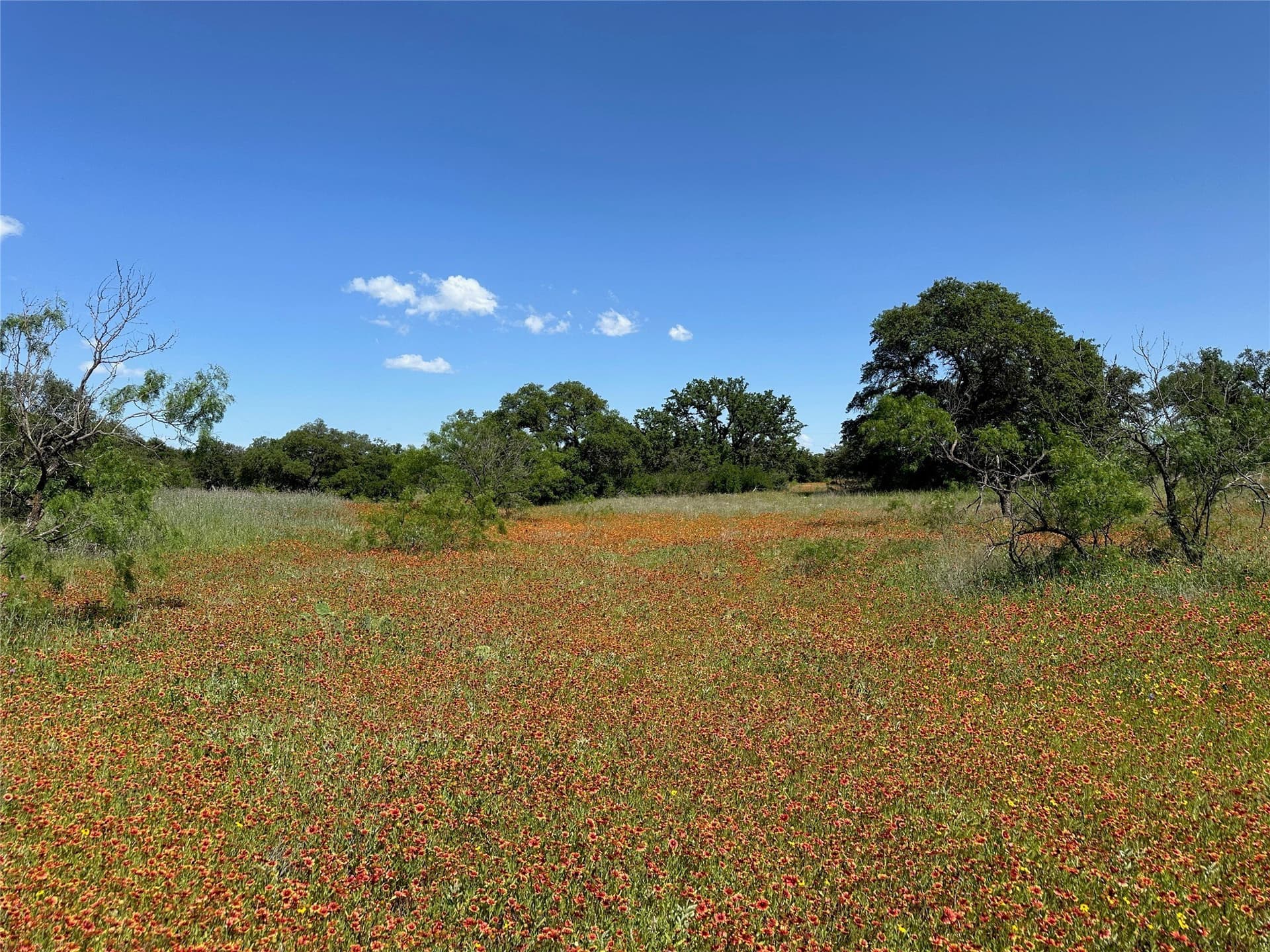 0.43 acres in Brown County - photo 6