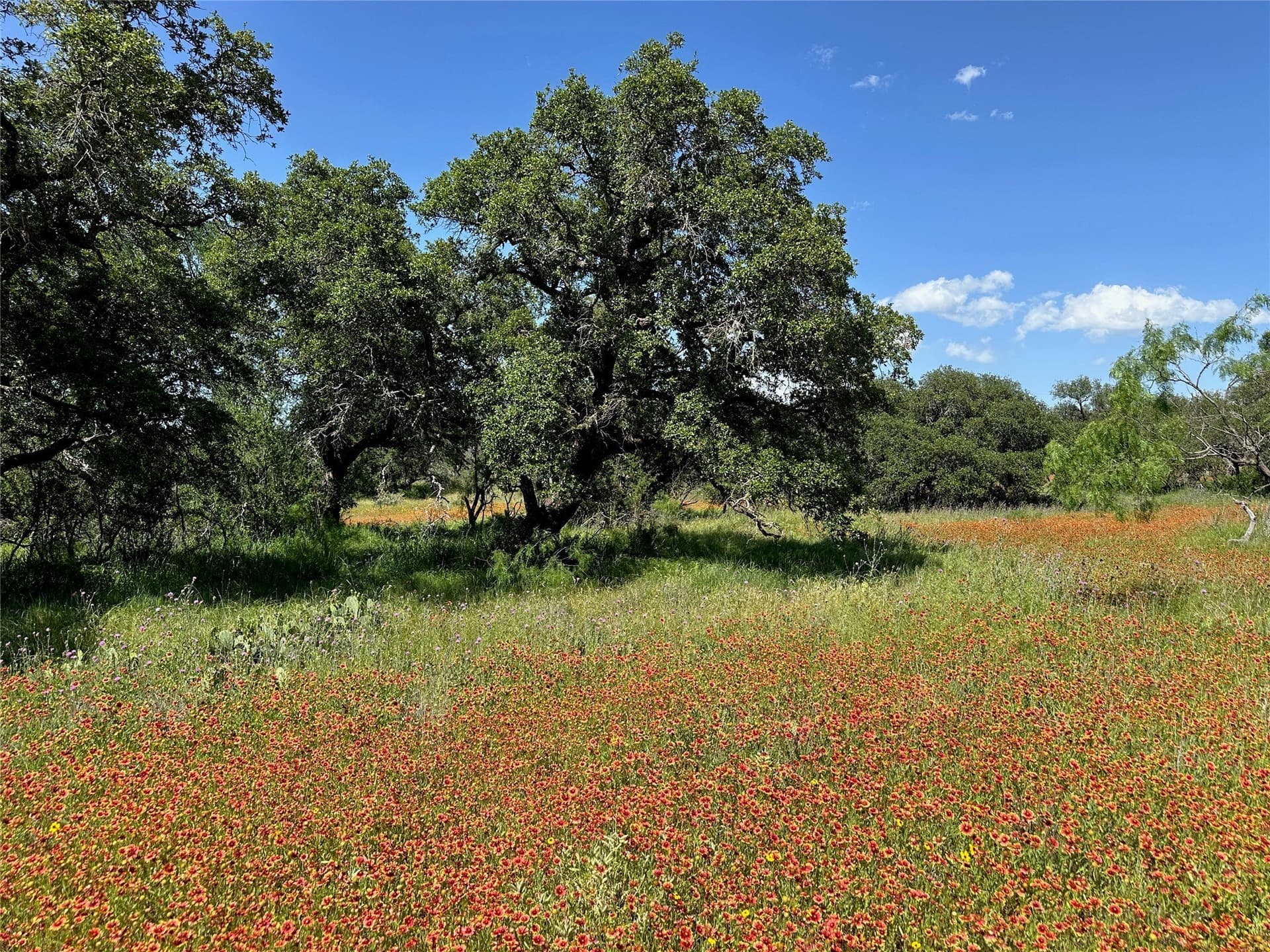 0.43 acres in Brown County - photo 7