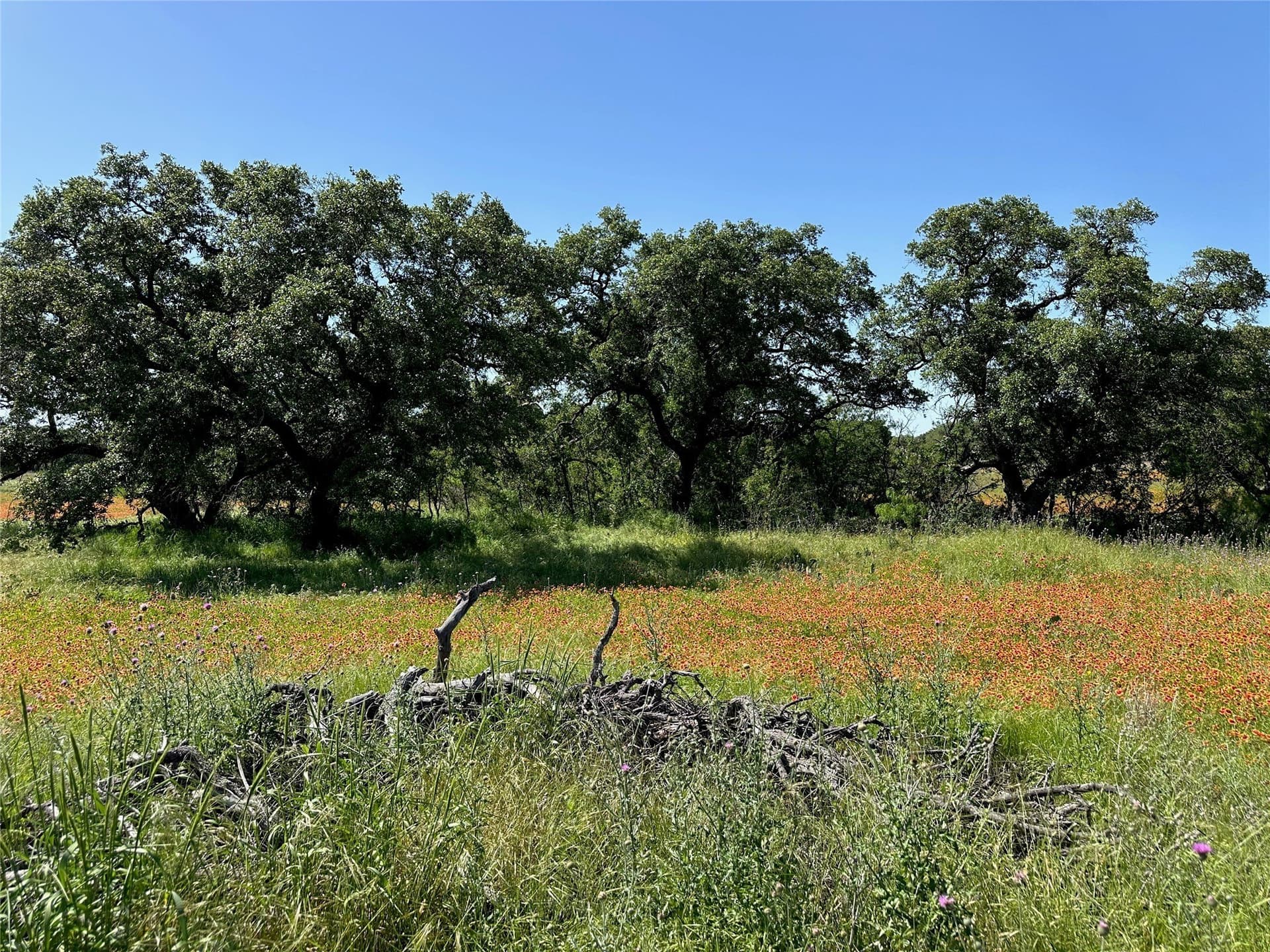 0.43 acres in Brown County - photo 12