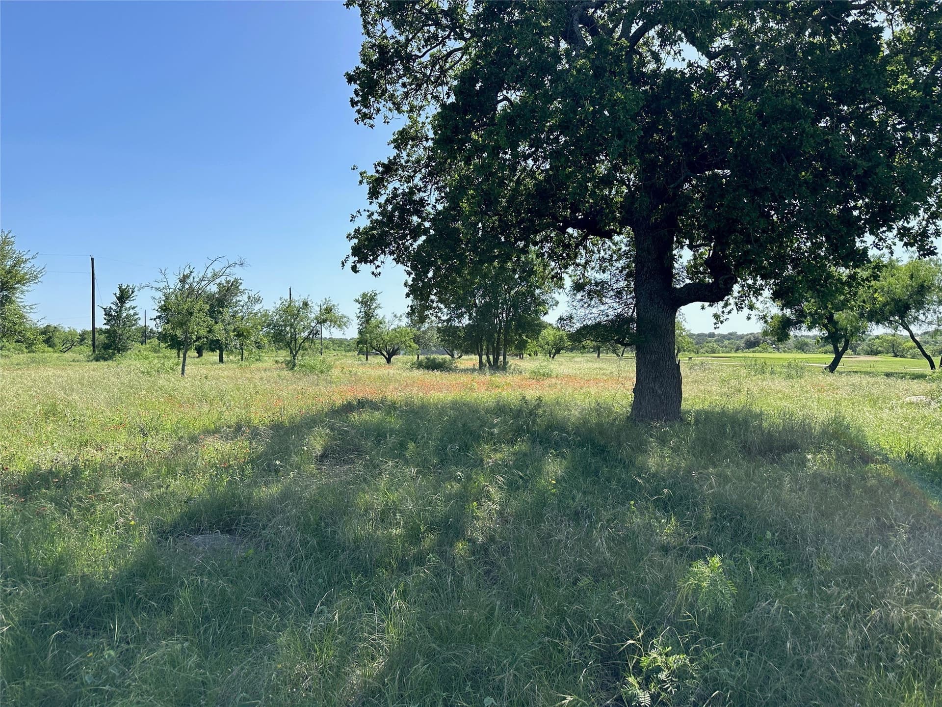 0.43 acres in Brown County - photo 15