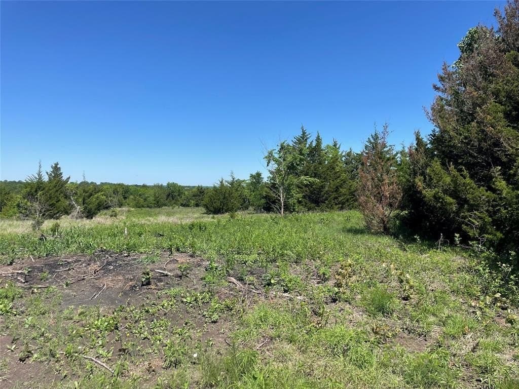 16.06 acres in Grayson County gallery image 4