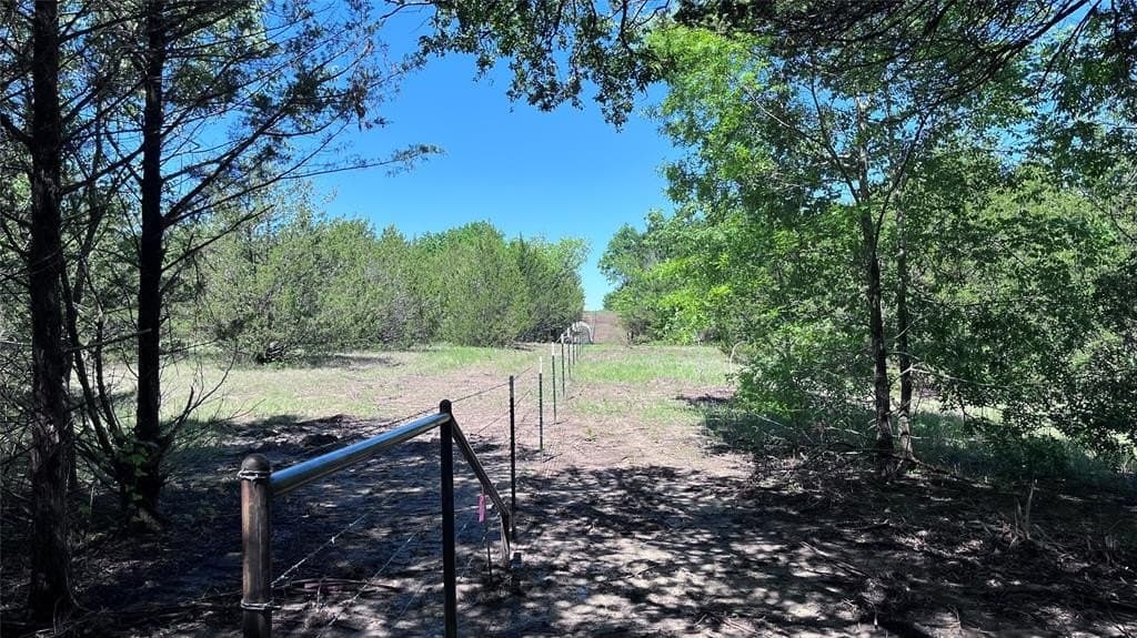 16.06 acres in Grayson County gallery image 3