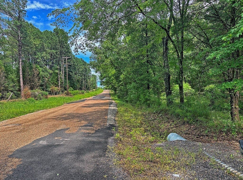 5.02 acres in Henderson County gallery image 4