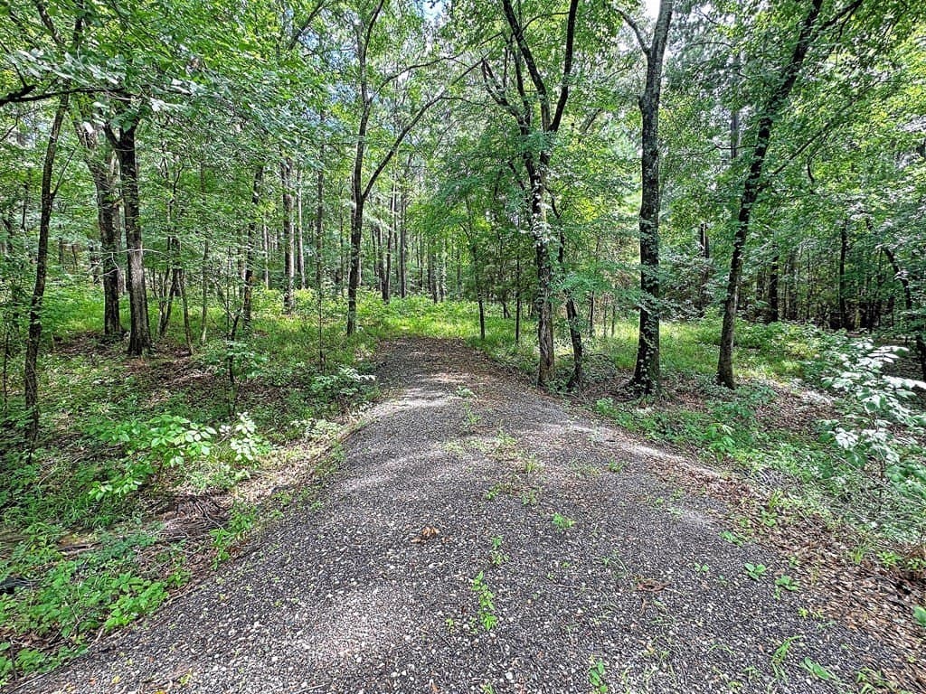 5.02 acres in Henderson County gallery image 2