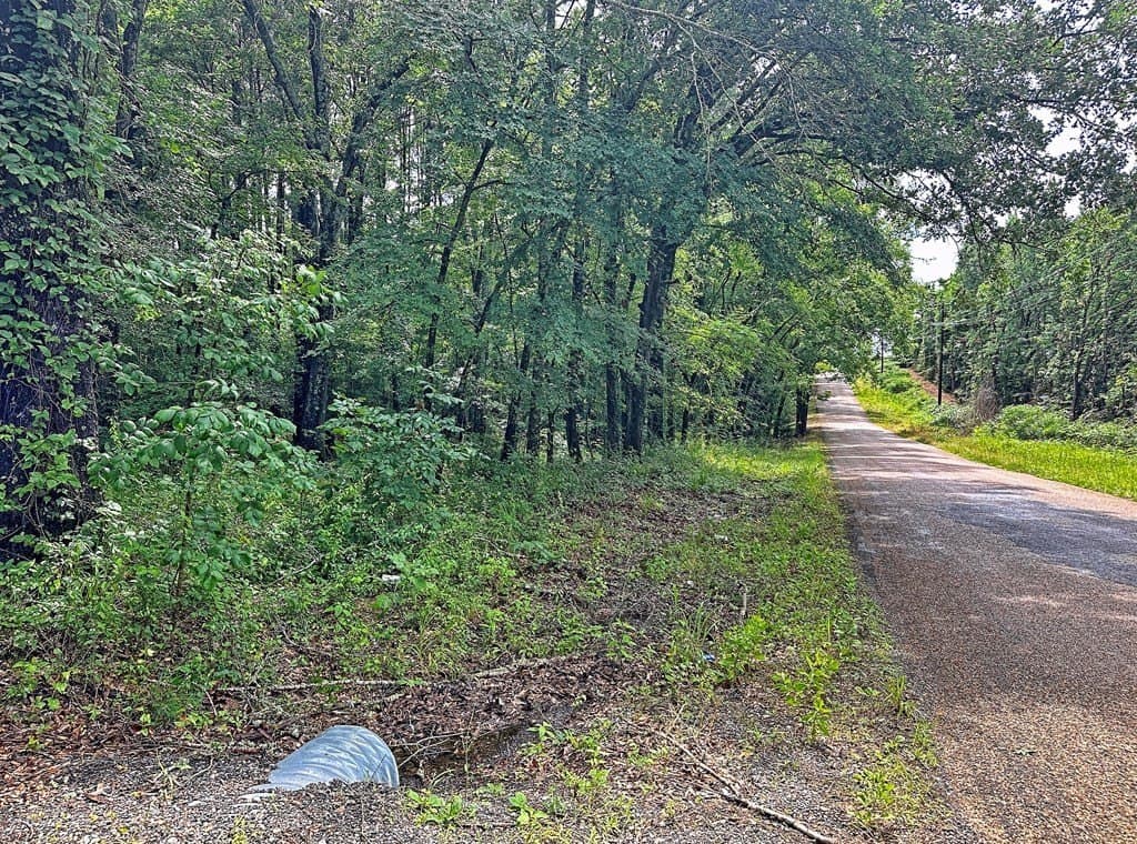 5.02 acres in Henderson County gallery image 3