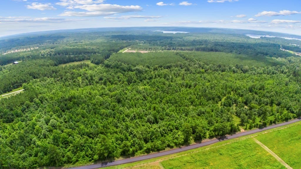 10.23 acres in Texas County gallery image 4