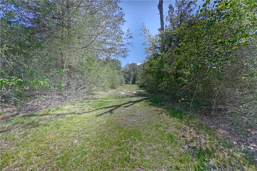 11.95 acres in Austin County - photo 41