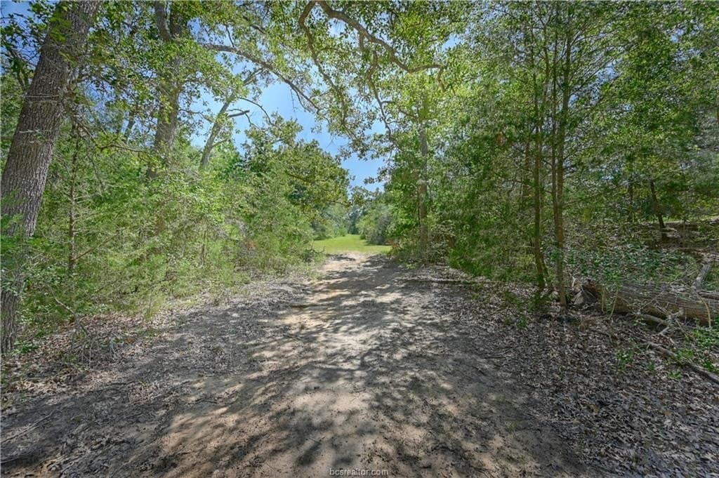 11.95 acres in Austin County - photo 42