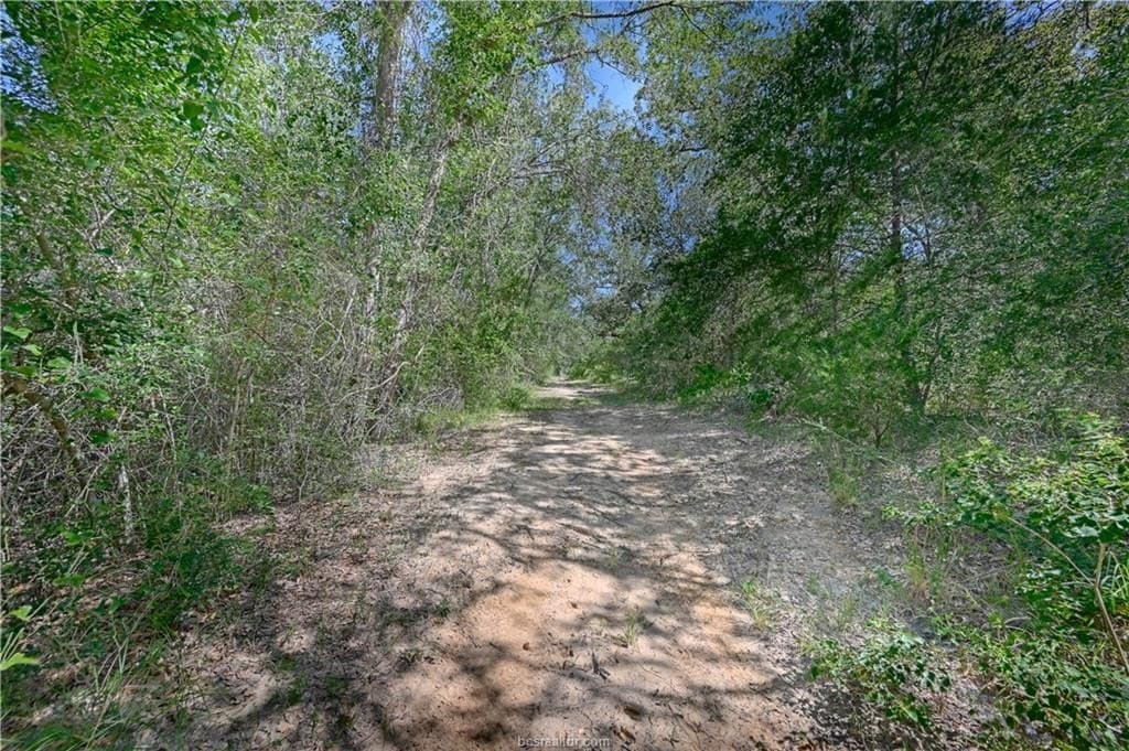 11.95 acres in Austin County - photo 43