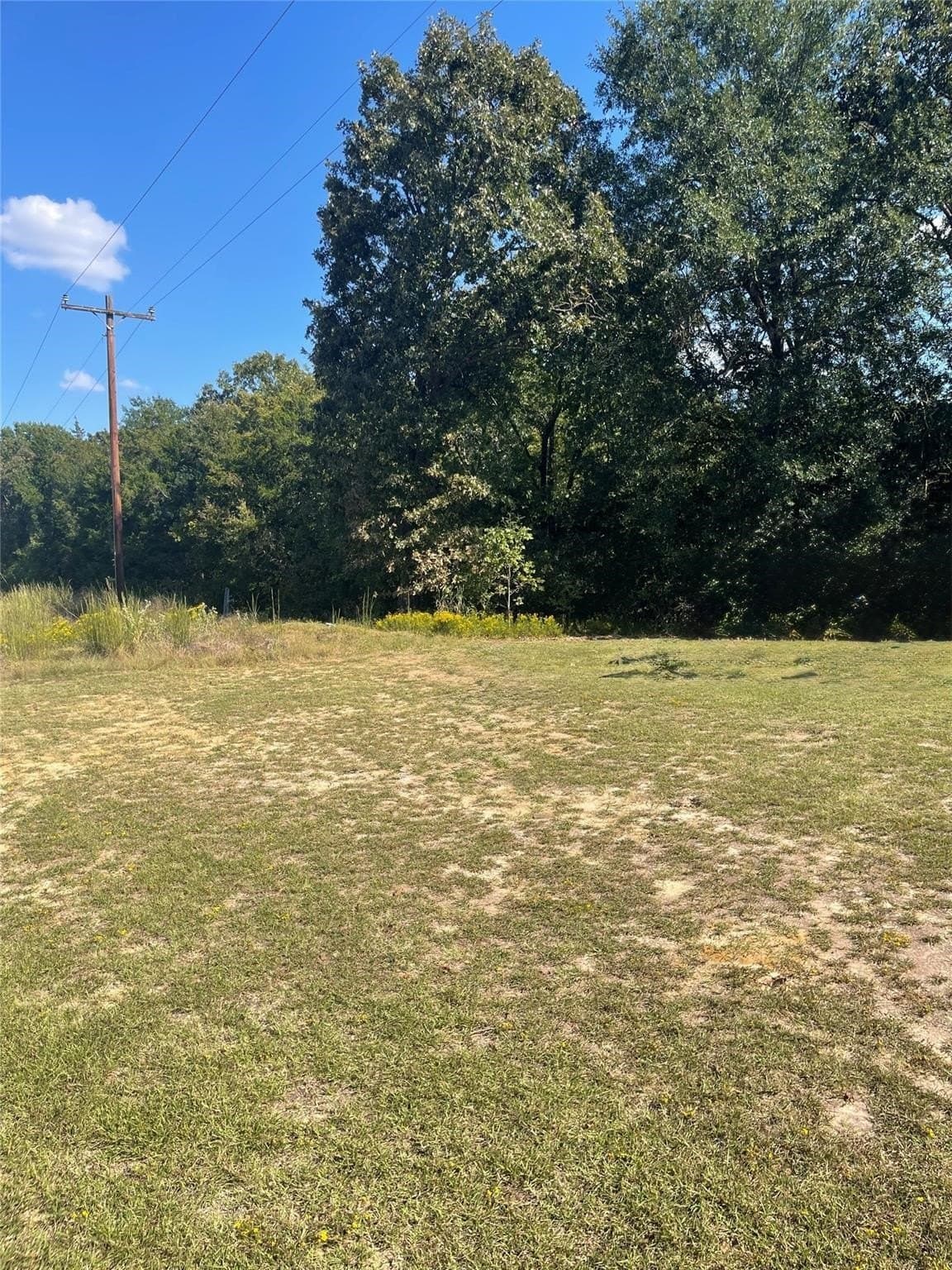 10.79 acres in Lamar County - photo 3