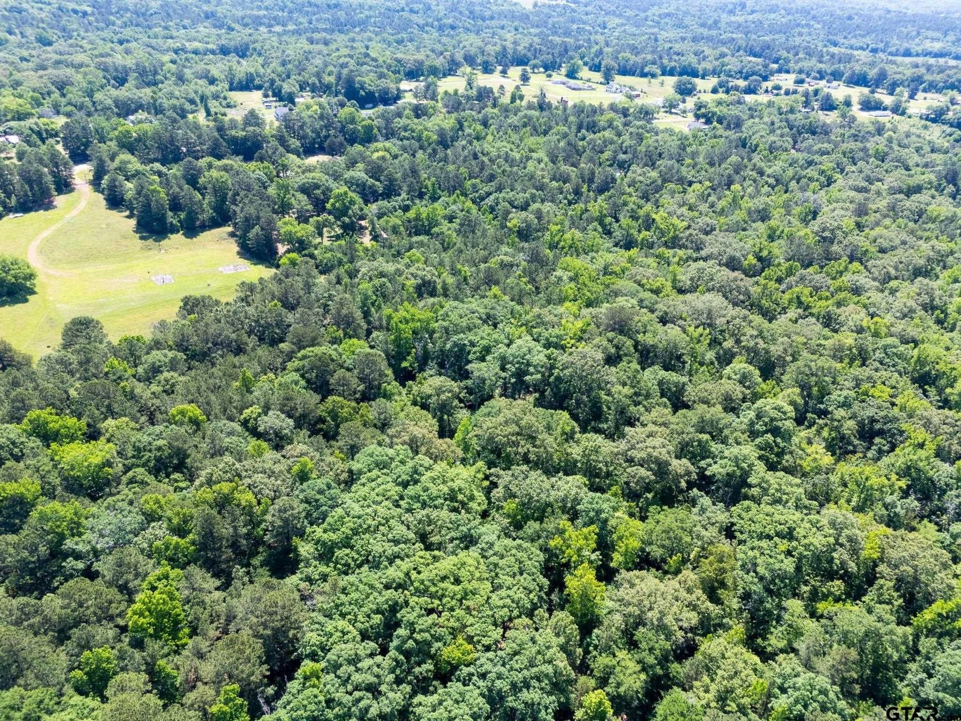 100 acres in Upshur County - photo 6